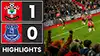 Southampton vs Everton highlights match watch